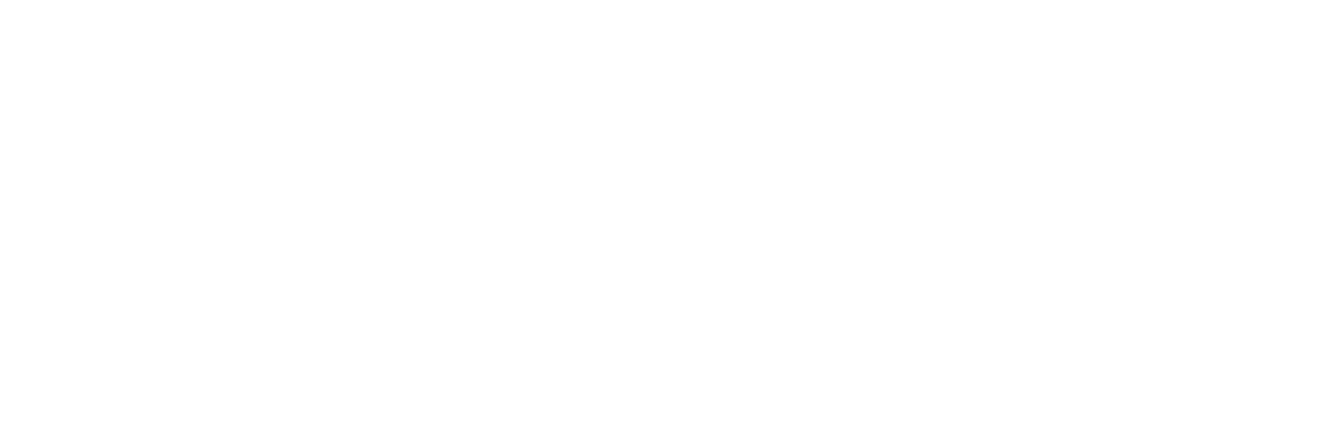 VeriCheck